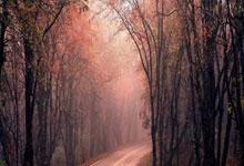 关于利物浦训练开放日，冲刺阶段造点机会引欢呼，NBA总决赛在即，临场指挥获称赞的信息-亚博官网入口